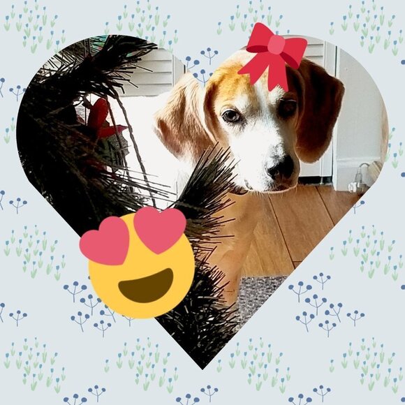 ❣ Meet your Posher, Rosecentric ❣ - Picture 6 of 6